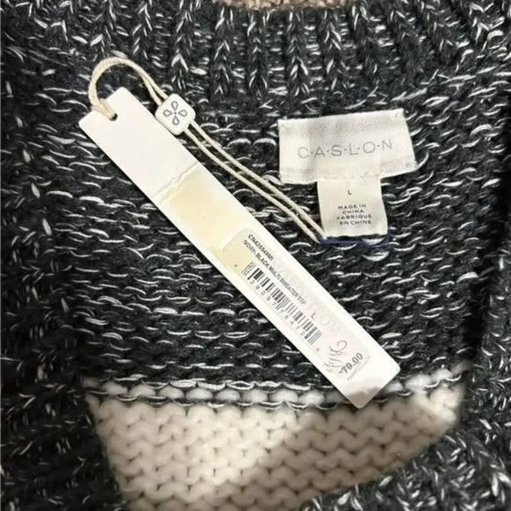 NEW Caslon Striped V-Neck Sweater Size L